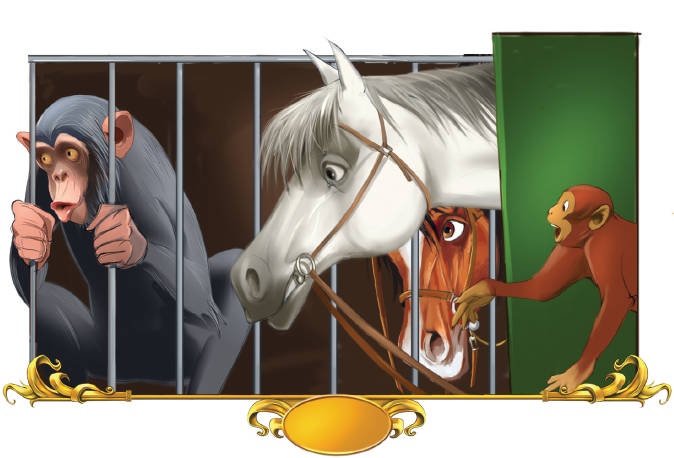 Иллюстрация к книге — Тайна заколдованного леса [i_096.jpg]