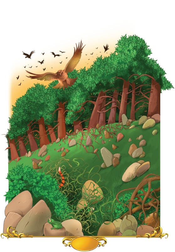 Иллюстрация к книге — Тайна заколдованного леса [i_112.jpg]