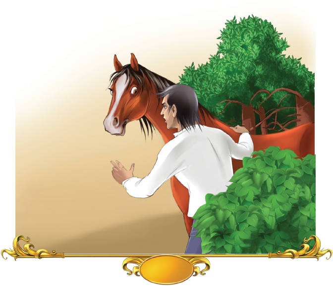 Иллюстрация к книге — Тайна заколдованного леса [i_116.jpg]