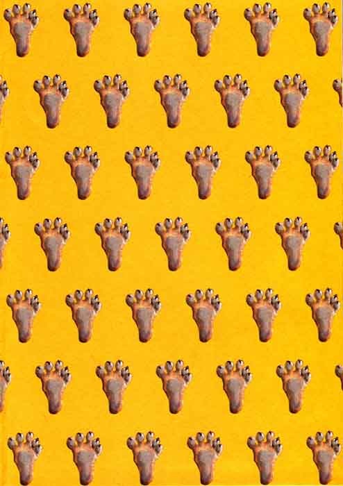 Иллюстрация к книге — Как стать настоящим львом [img01.jpg]