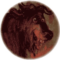 Иллюстрация к книге — Как стать настоящим львом [img21.jpg]