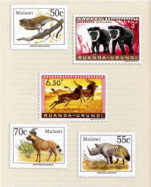 Иллюстрация к книге — Как стать настоящим львом [img25.jpg]