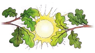 Иллюстрация к книге — Разноцветные приключения Кузи [_057.jpg]