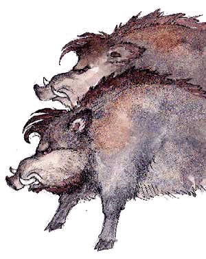 Иллюстрация к книге — Разноцветные приключения Кузи [_059.jpg]