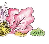 Иллюстрация к книге — Разноцветные приключения Кузи [_112.jpg]