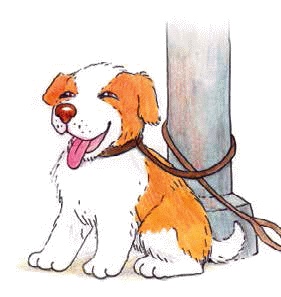 Иллюстрация к книге — Разноцветные приключения Кузи [_153.jpg]