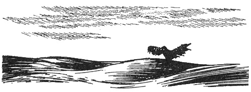 Иллюстрация к книге — Папа и море [i_008.jpg]