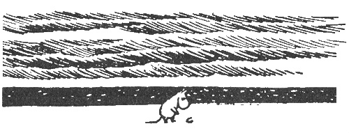 Иллюстрация к книге — Папа и море [i_013.jpg]