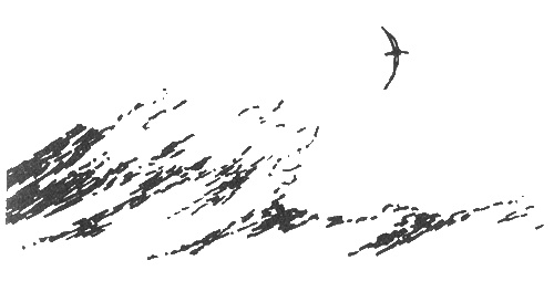 Иллюстрация к книге — Папа и море [i_050.jpg]