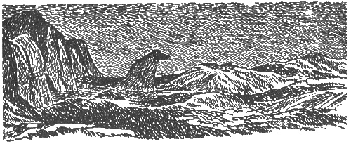 Иллюстрация к книге — Папа и море [i_053.jpg]