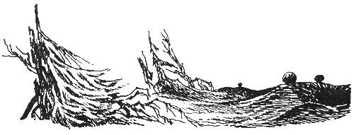 Иллюстрация к книге — Папа и море [i_062.jpg]