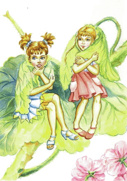 Иллюстрация к книге — Сказки комнатных растений [i_012.jpg]