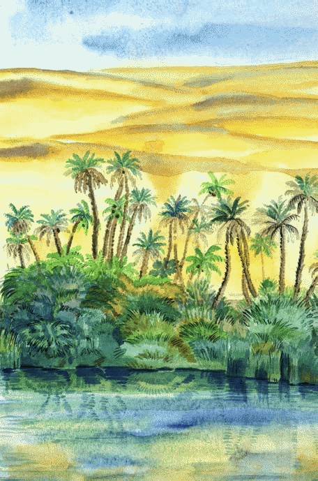 Иллюстрация к книге — Сказки комнатных растений [i_018.jpg]