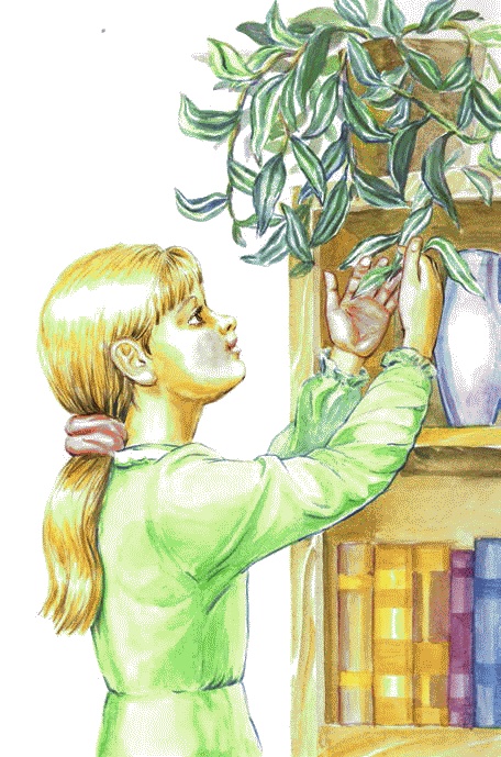 Иллюстрация к книге — Сказки комнатных растений [i_023.jpg]