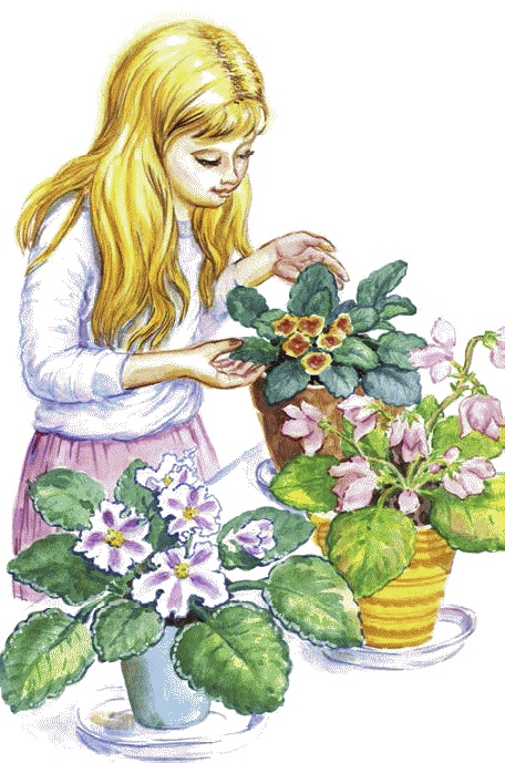 Иллюстрация к книге — Сказки комнатных растений [i_030.jpg]