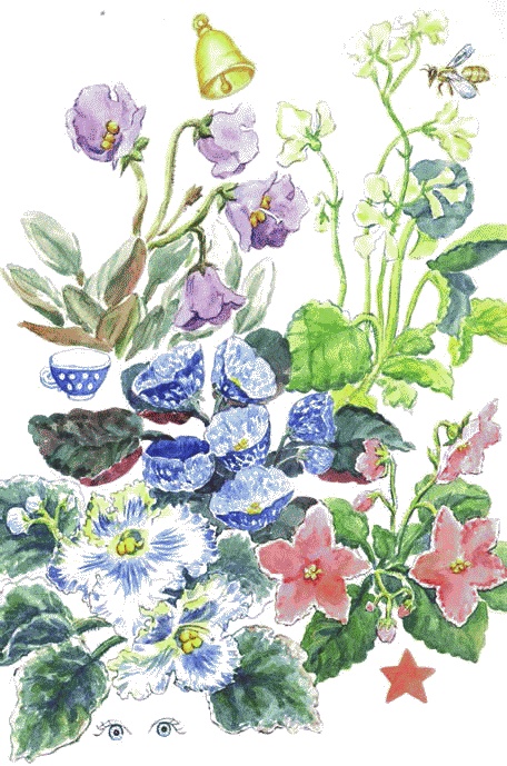 Иллюстрация к книге — Сказки комнатных растений [i_032.jpg]