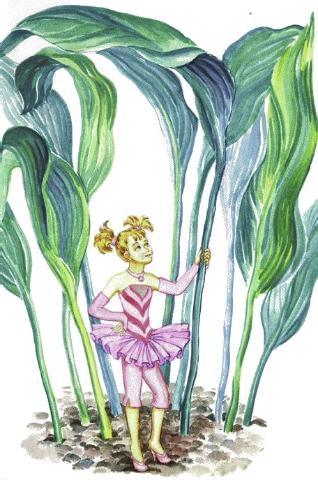 Иллюстрация к книге — Сказки комнатных растений [i_036.jpg]