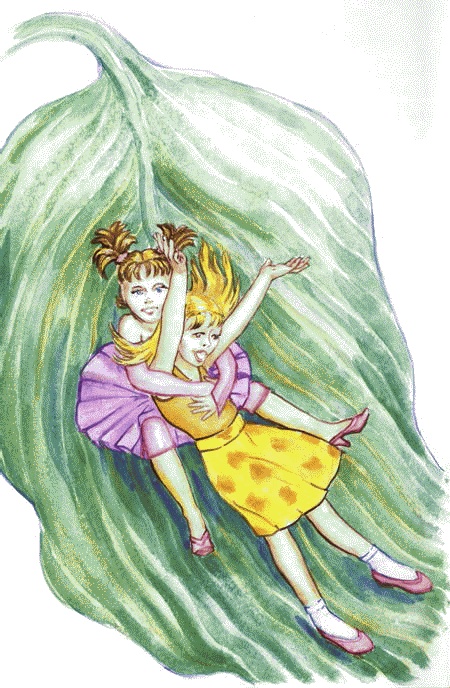 Иллюстрация к книге — Сказки комнатных растений [i_038.jpg]