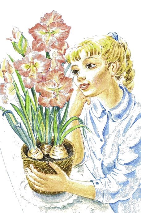 Иллюстрация к книге — Сказки комнатных растений [i_041.jpg]