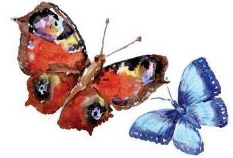 Иллюстрация к книге — Фруечки [i_033.jpg]