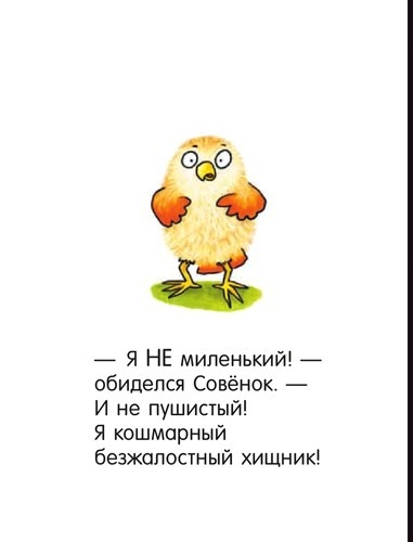 Иллюстрация к книге — Я не миленький! [i_011.jpg]