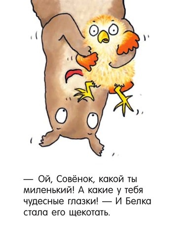 Иллюстрация к книге — Я не миленький! [i_014.jpg]