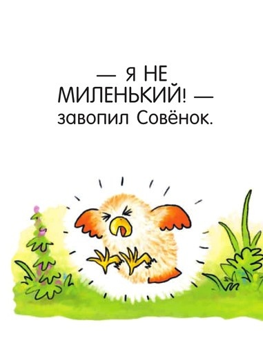 Иллюстрация к книге — Я не миленький! [i_015.jpg]