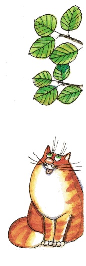 Иллюстрация к книге — Красавица 5 &quot;В&quot; [_040.jpg]