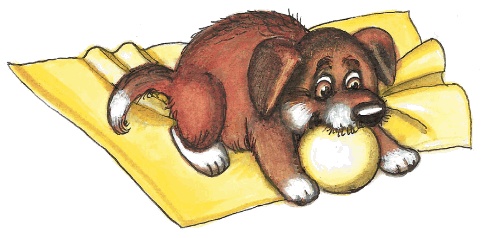 Иллюстрация к книге — Красавица 5 &quot;В&quot; [_048.jpg]