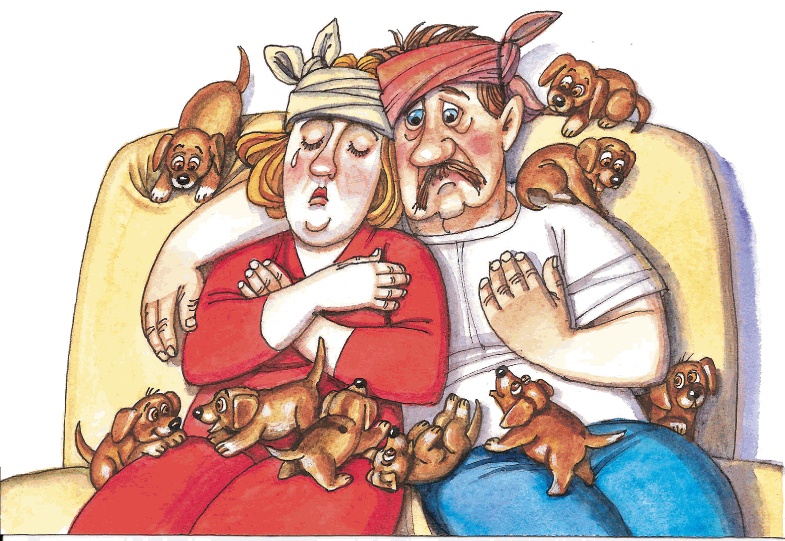 Иллюстрация к книге — Красавица 5 &quot;В&quot; [_050.jpg]