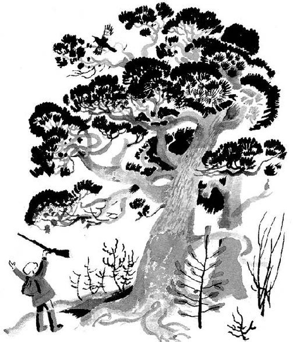 Иллюстрация к книге — Конь с розовой гривой [i_004.jpg]