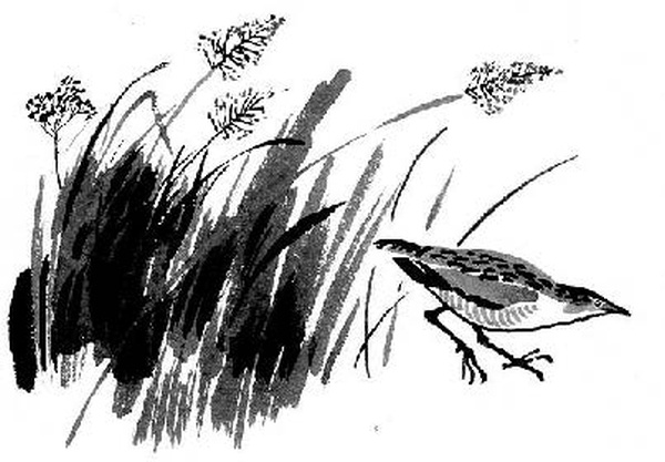 Иллюстрация к книге — Конь с розовой гривой [i_010.jpg]