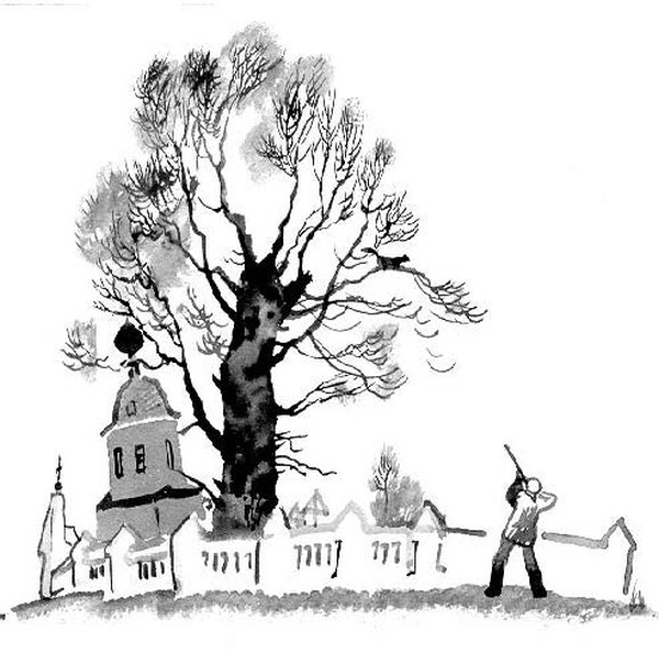 Иллюстрация к книге — Конь с розовой гривой [i_013.jpg]