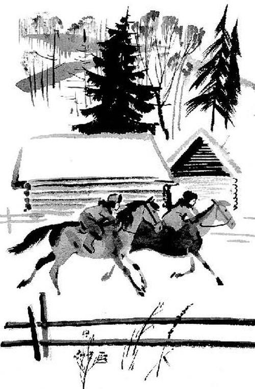 Иллюстрация к книге — Конь с розовой гривой [i_016.jpg]