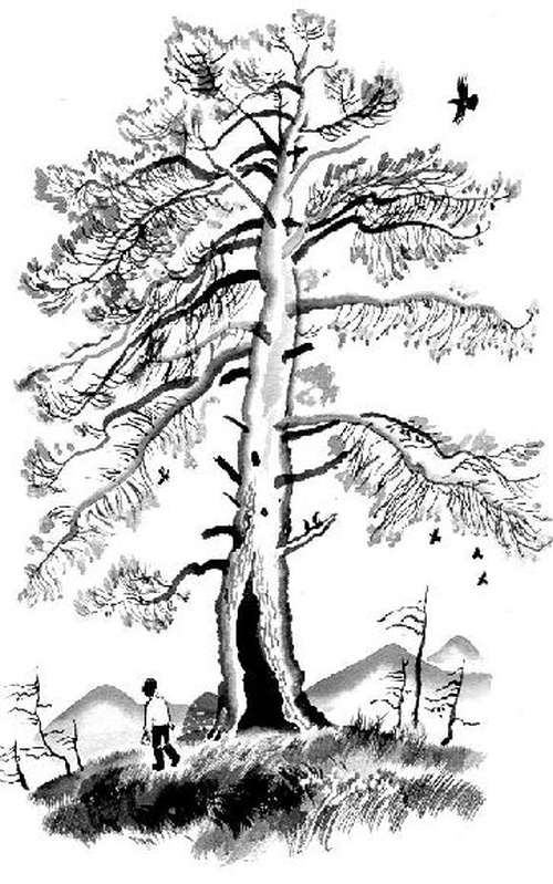 Иллюстрация к книге — Конь с розовой гривой [i_020.jpg]