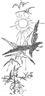 Иллюстрация к книге — Истории сказочной страны Мо и ее волшебного короля [i_014.jpg]