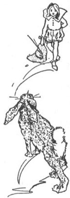 Иллюстрация к книге — Истории сказочной страны Мо и ее волшебного короля [i_046.jpg]