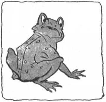 Иллюстрация к книге — Истории сказочной страны Мо и ее волшебного короля [i_093.jpg]