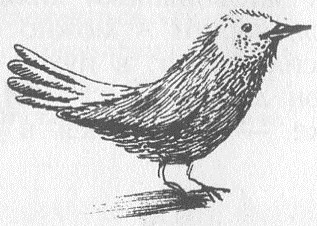 Иллюстрация к книге — Победитель страха [picture22.jpg]