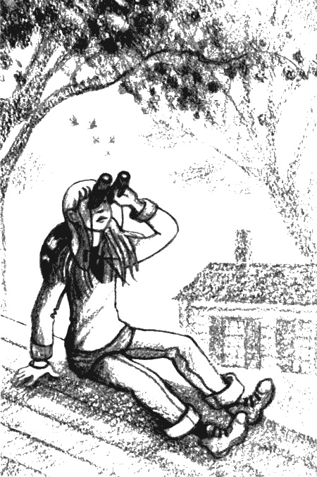 Иллюстрация к книге — Пендервики на улице Гардем [img14.jpg]