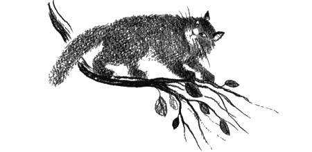 Иллюстрация к книге — Пендервики на улице Гардем [img21.jpg]