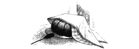 Иллюстрация к книге — Пендервики на улице Гардем [img31.jpg]