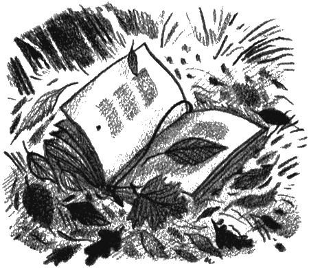 Иллюстрация к книге — Пендервики на улице Гардем [img35.jpg]