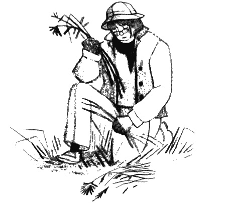 Иллюстрация к книге — Пендервики на улице Гардем [img37.jpg]