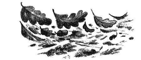 Иллюстрация к книге — Пендервики на улице Гардем [img39.jpg]