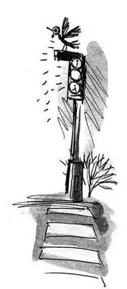 Иллюстрация к книге — День матери [i_066.jpg]