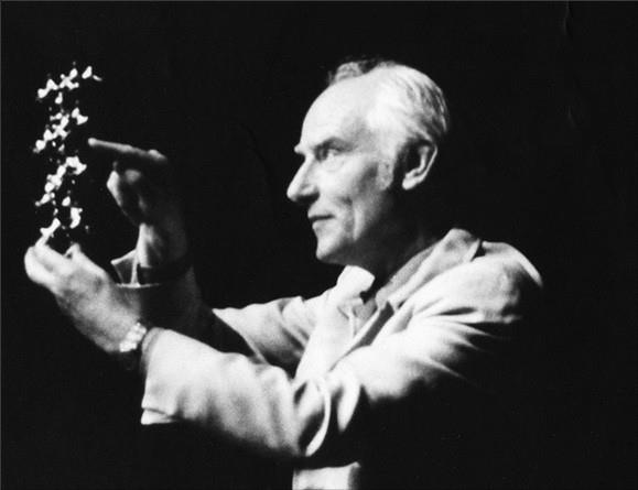 Иллюстрация к книге — 100 великих тайн доисторического мира [i_007.jpg]