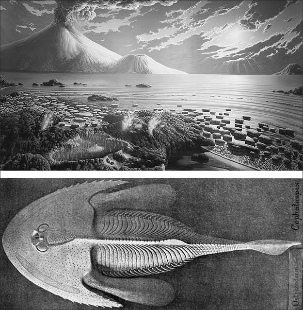 Иллюстрация к книге — 100 великих тайн доисторического мира [i_009.jpg]