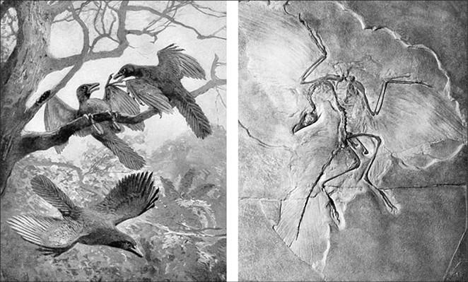 Иллюстрация к книге — 100 великих тайн доисторического мира [i_028.jpg]