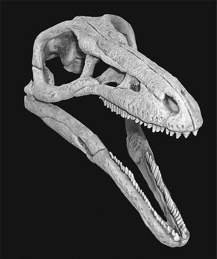 Иллюстрация к книге — 100 великих тайн доисторического мира [i_033.jpg]